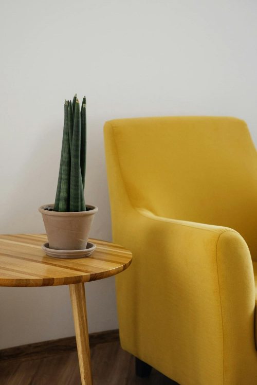 Tendances-deco-mobilier-2024-Be-Home